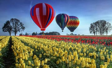 Hot Air Balloon Rides Hamilton